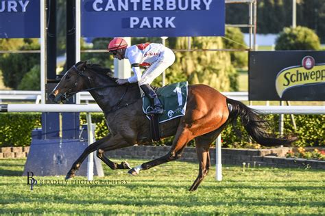 Horse Syndications by Dynamic Syndications.
